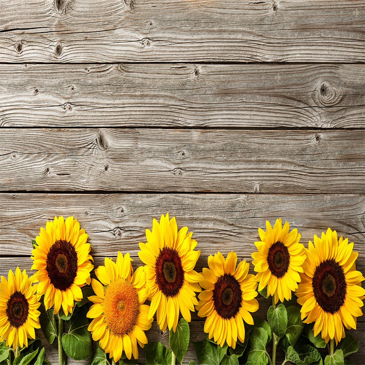 Buy Sunflower Brown Wood Floor wall Texture Backdrop Photography ...