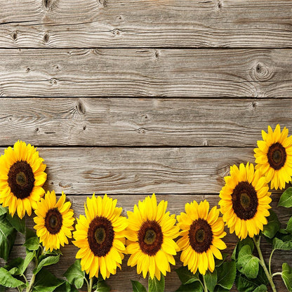 Sunflower Brown Wood Floor wall Texture Backdrop Photography Backdrops