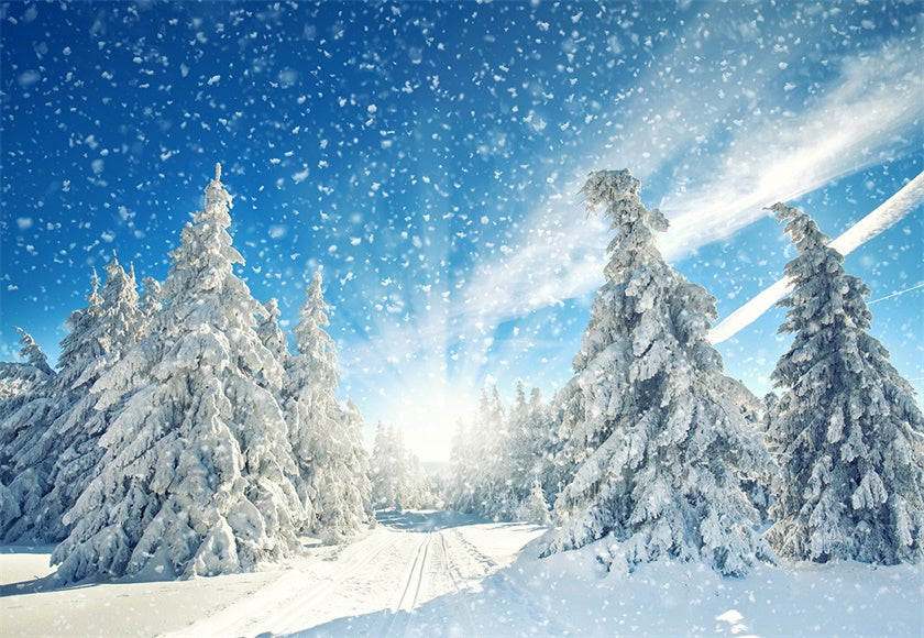 Buy Winter Photography Backdrop Snowflake Forest Background Online ...