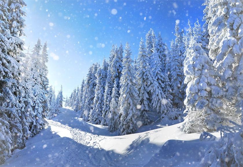 Buy Snowflake Forest Backdrop for Photography Winter Background Online ...