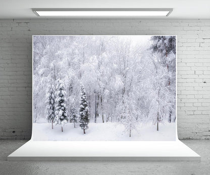 Snow Cover Tree Photography Backdrop Winter Background