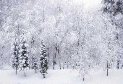 Snow Cover Tree Photography Backdrop Winter Background