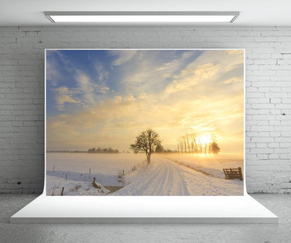 Snow Field Photography Backdrop Winter Background