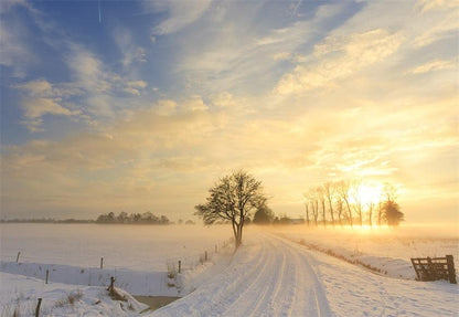 Snow Field Photography Backdrop Winter Background