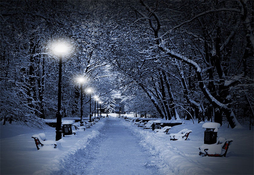 Buy Night Winter Road Photography Backdrop Christmas Background Online ...