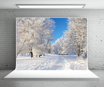 White Snow Cover Tree Photography Backdrop Winter Background