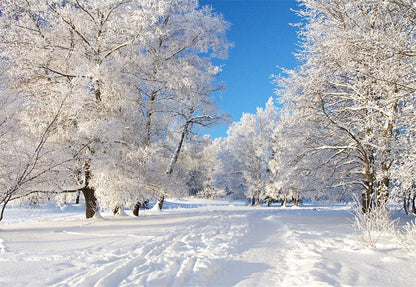 White Snow Cover Tree Photography Backdrop Winter Background