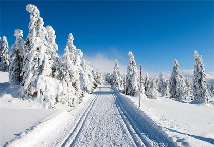 White Snow Cover Road Photo Backdrop Winter Background