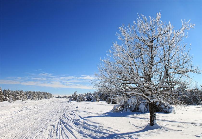 Buy Snow Road Photography Backdrop For Winter Online – Starbackdrop