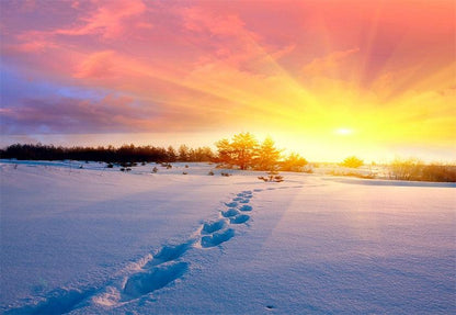 Sunset Light Snow Photography Backdrop Winter Background