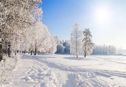 White Snow Road Photography Backdrop for Winter