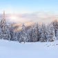 White Snow Forest Mountain Photo Backdrop Winter Background