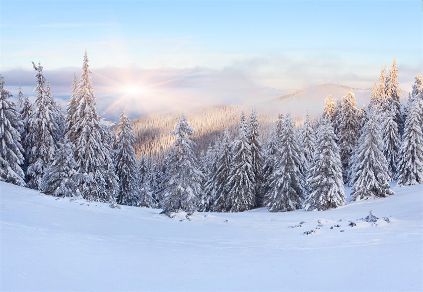 White Snow Forest Mountain Photo Backdrop Winter Background