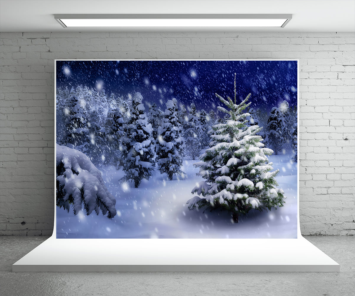 Buy Night of Winter Snow Wonderland Backdrop for Christmas Online ...