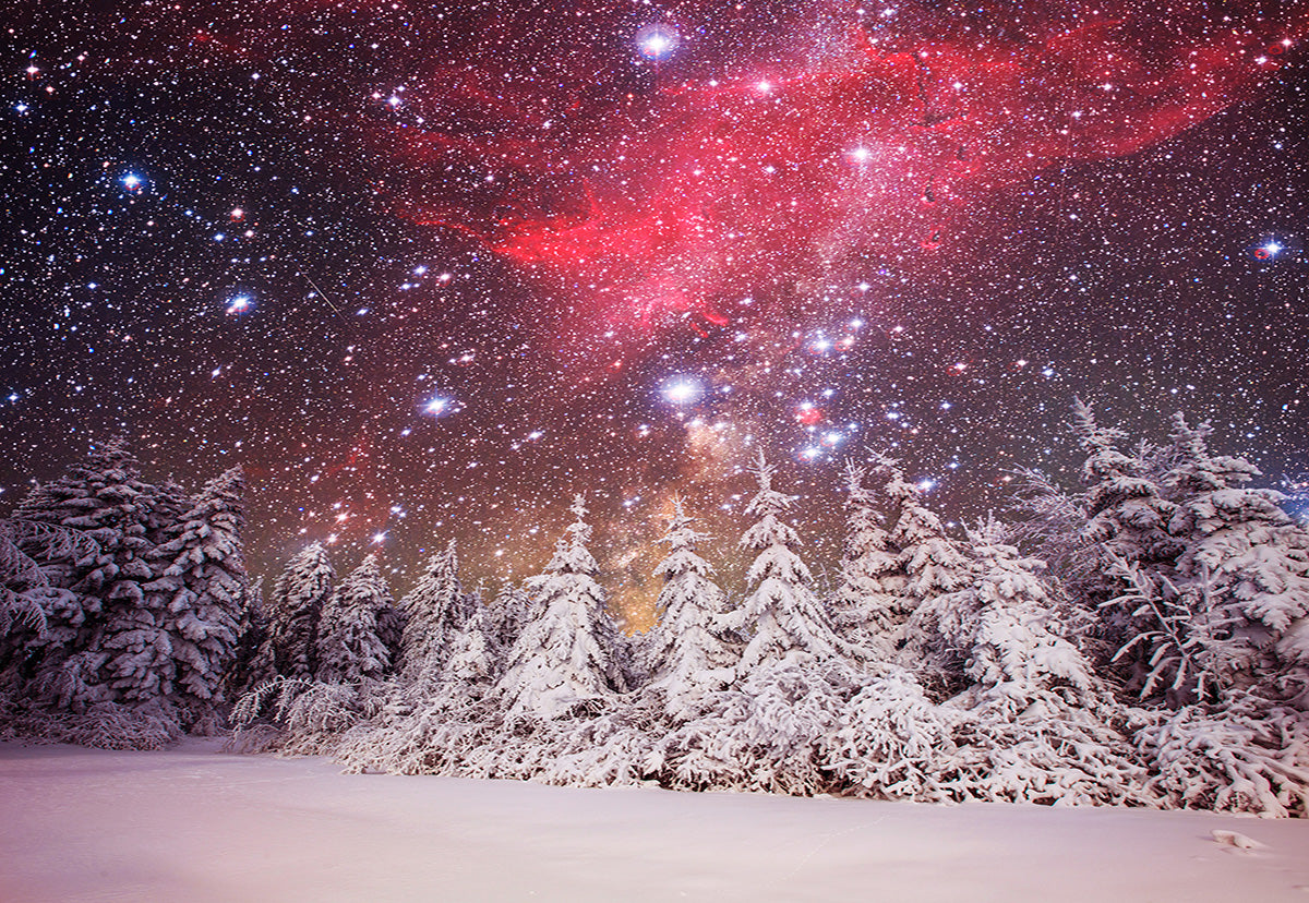 Buy Night Light Star Forest Photography Backdrop Winter Background ...