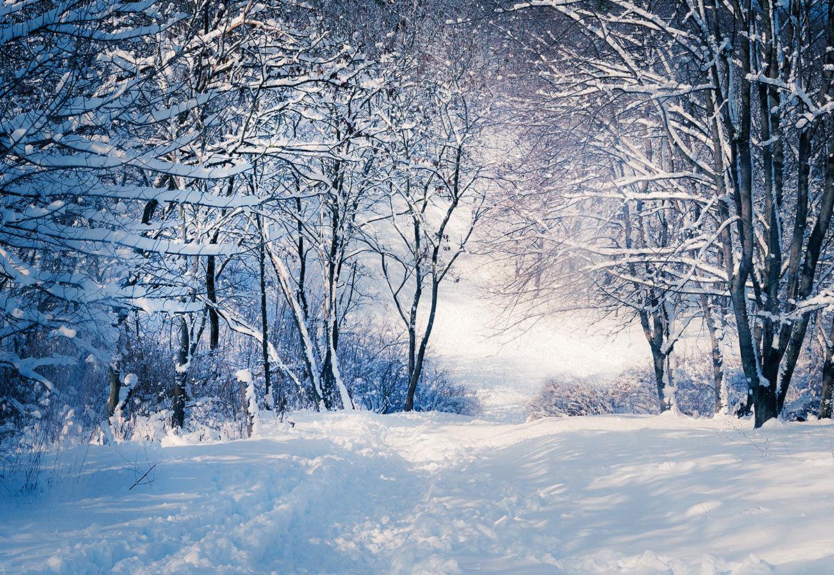 Winter Wonderland White Snow Forest Photography Backdrop