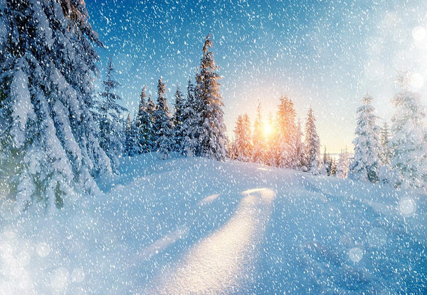 Buy Snowing Forest Photography Backdrop Winter Background Online ...