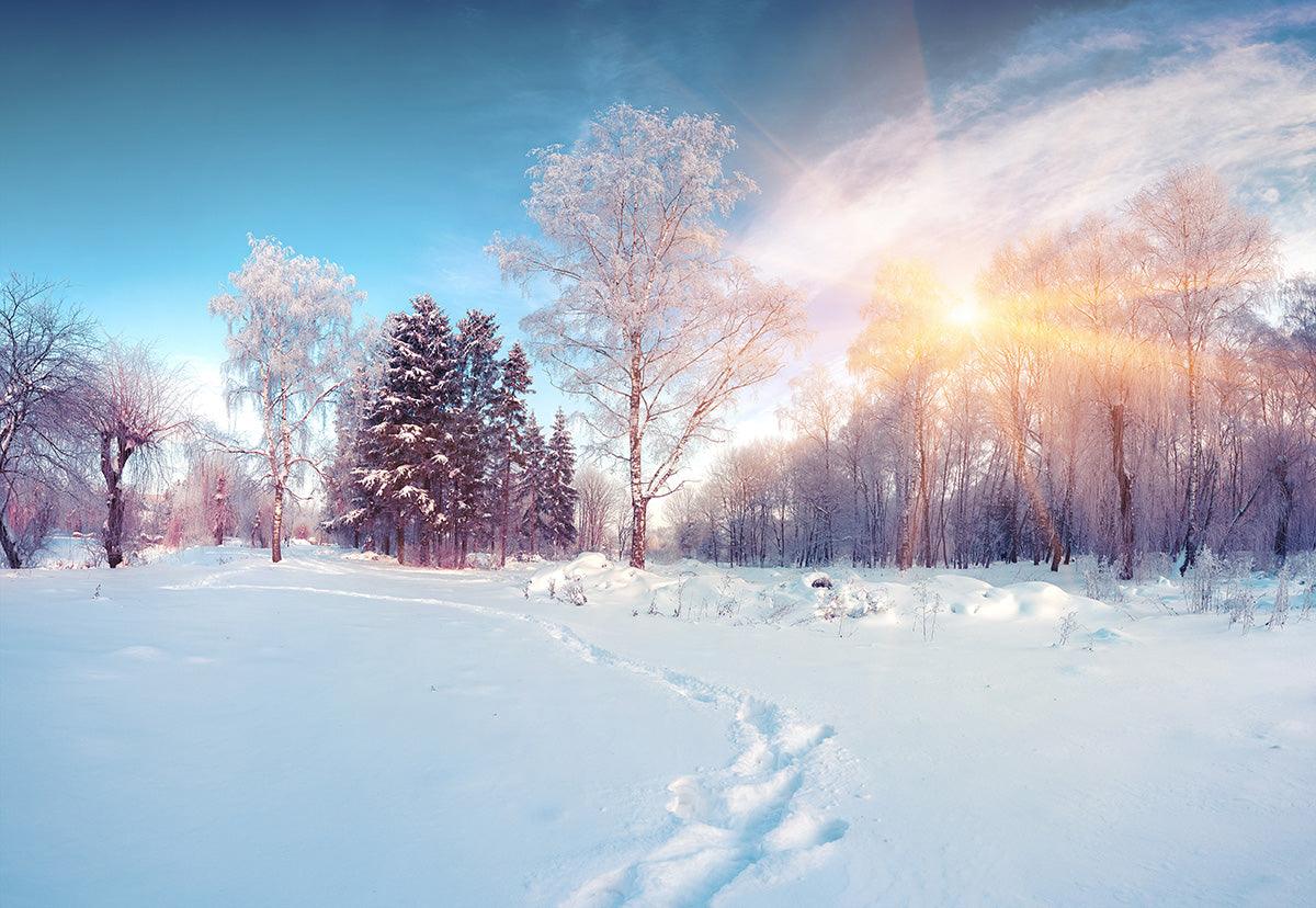 Winter Snow Cover Tree Photography Backdrop