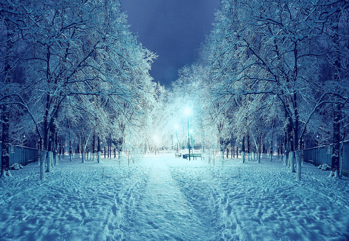 Buy Night Snow Cover Winter Fabric Photography Backdrop Online ...