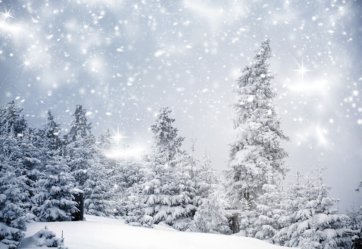 Winter Snow Forest Photography Backdrops – Starbackdrop