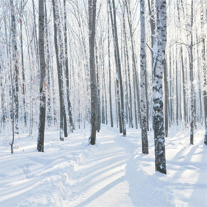 White Snow Backdrop for Photography Winter Background