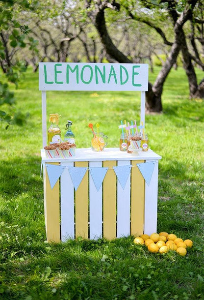 Lemonade Spring Photography Backdrops for Photos