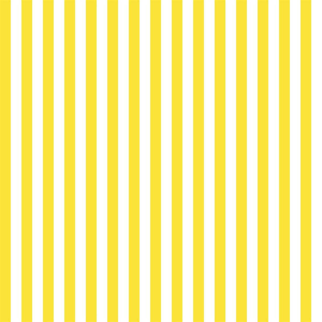 Yellow and White Stripes Backdrops for Photography Prop – Starbackdrop