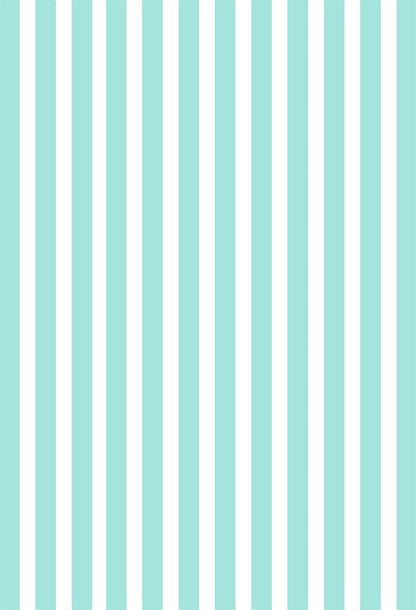 Mint and White Stripes Photo Background Fabric Backdrops