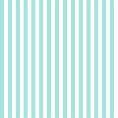 Mint and White Stripes Photo Background Fabric Backdrops