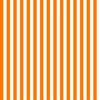 Orange and White Stripes Portrait Fabric Photography Backdrops