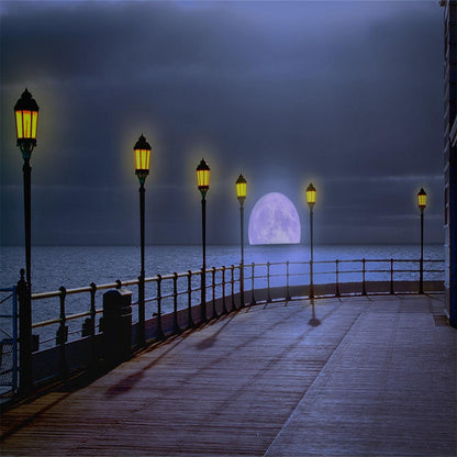 Night Bright Moon Seaside Backdrops for Photography