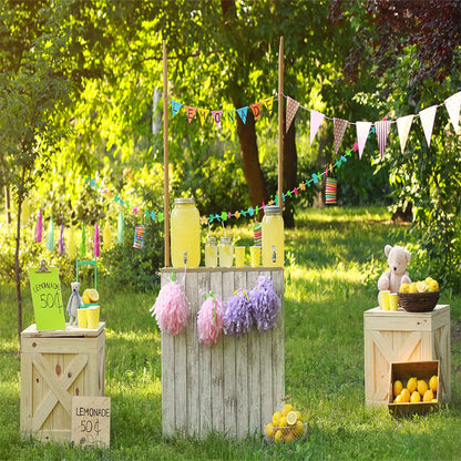 Lemonade Colorful Flag Spring Green Backdrops