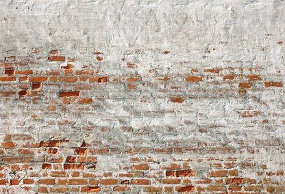 Brick Wall Backdrops for Photography,Studio Background