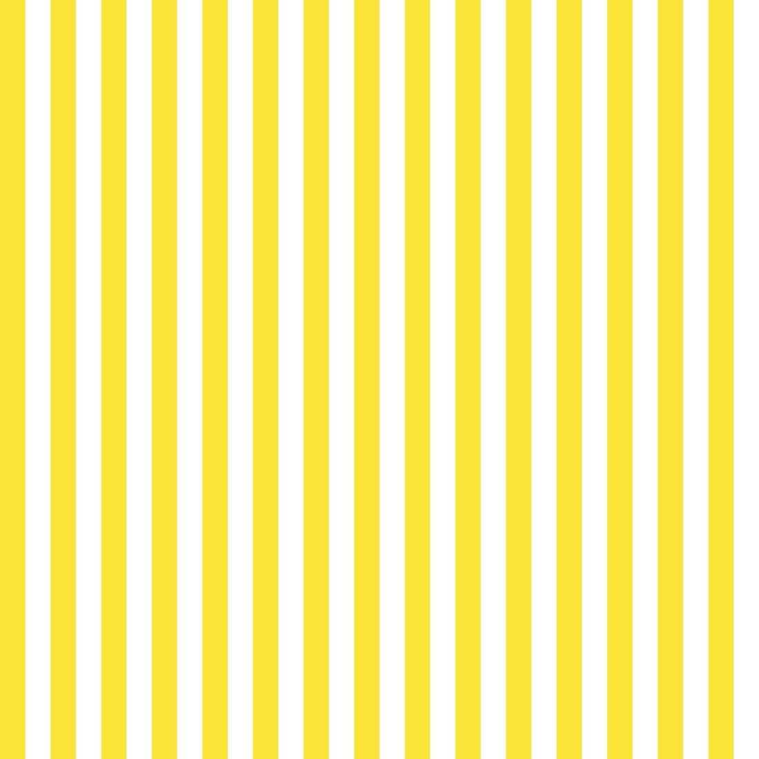 White and Yellow Stripe Fabric Photography Backdrops – Starbackdrop