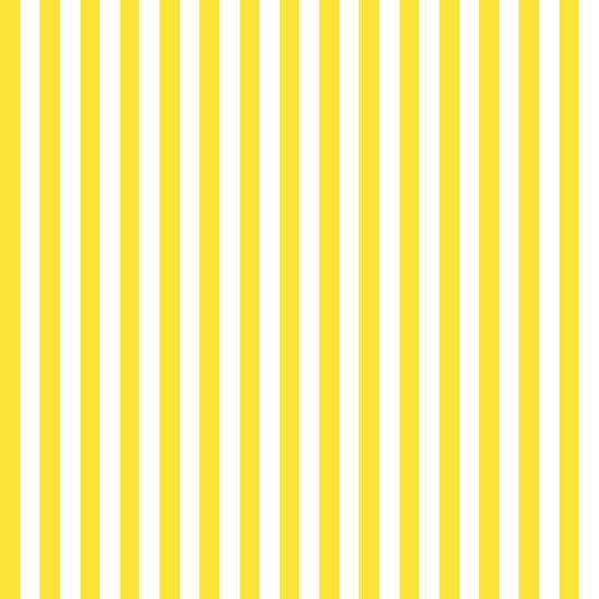 White and Yellow Stripe Fabric Photography Backdrops – Starbackdrop