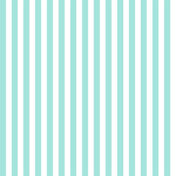 White and Mint Stripe Photo Background Backdrop – Starbackdrop