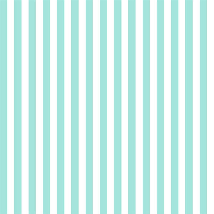 White and Mint Stripe Photo Background Backdrop – Starbackdrop