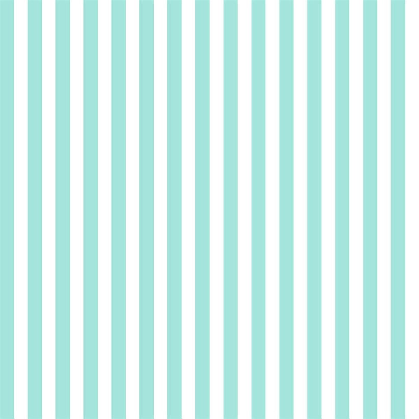 White and Mint Stripe Photo Background Backdrop – Starbackdrop