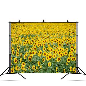 Summer Sunflower Photography Backdrop for Picture