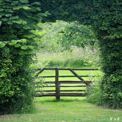 Bright Cozy Green Backdrop for Spring Photography SBH0356