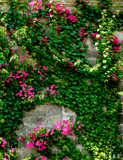 Stone House With Green Leaves Spring Photography Backdrop SBH0357