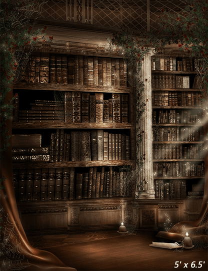 The Ancients History Bookshelf Photography Backdrop SBH0388