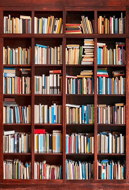 Bookshelf Filled With Books Photography Backdrop SBH0389