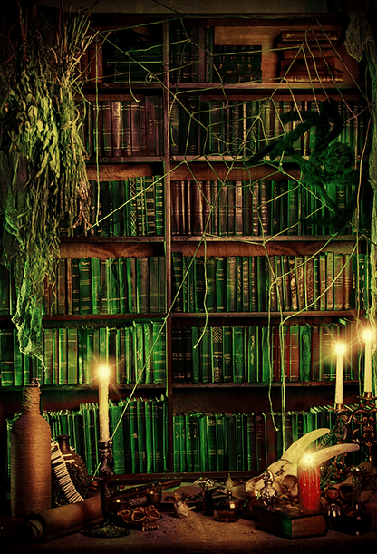 Magic Witch's Lair With Books Photography Backdrop SBH0400