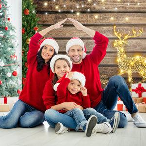 Merry Christmas Wood Wall Photo Backdrop for Photography