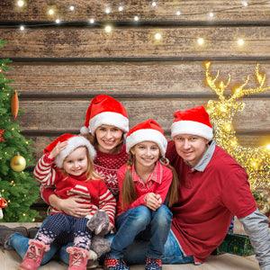 Merry Christmas Wood Wall Photo Backdrop for Photography