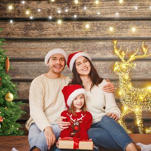 Merry Christmas Wood Wall Photo Backdrop for Photography