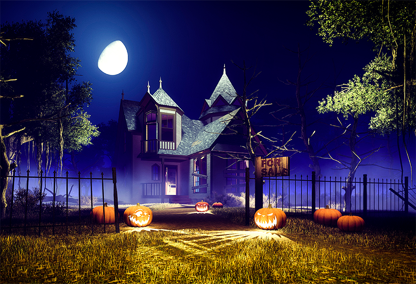 Buy Night Moon House Pumpkins Halloween Backdrop Photography Online ...