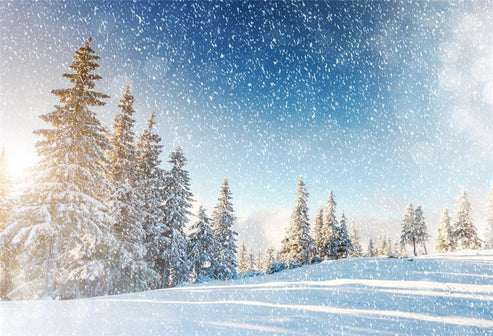 Buy Snowflake Winter Photo Studio Backdrops Online – Starbackdrop