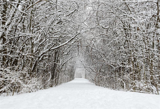 Winter Branches Snow Street Photo Booth Prop Backdrop